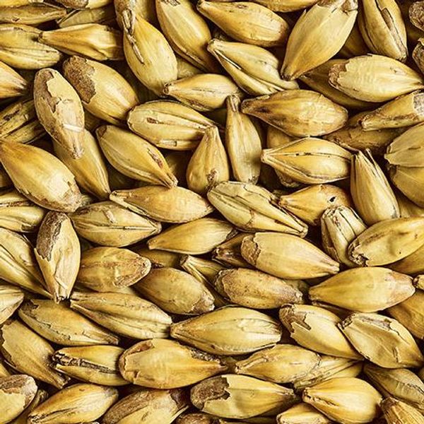 Hovedbilde Cara Ruby - 1kg CASTLE