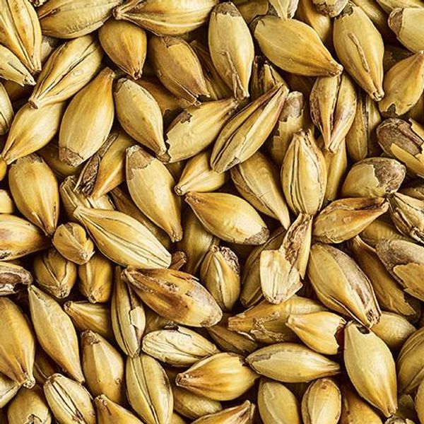 Hovedbilde Cara Gold - 1kg CASTLE